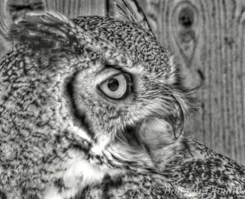 DSC09533f