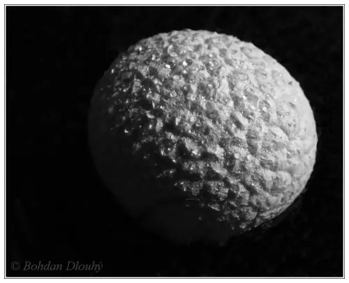 DSCF0679b