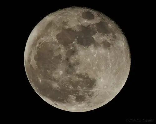 DSCN7883b