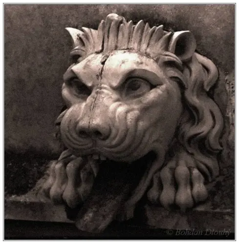 IMG 0006d