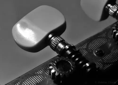 IMG 0076b