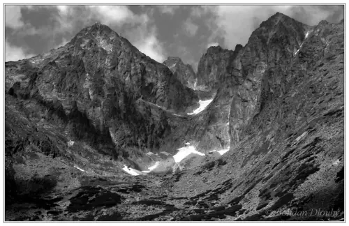 IMG 0258d-1