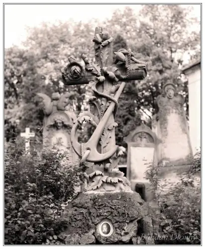 IMG 0402c