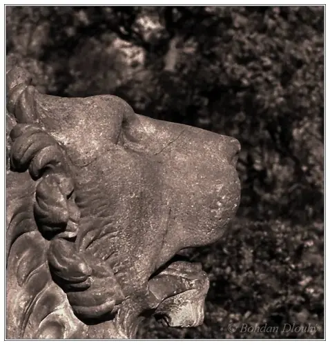 IMG 0545b